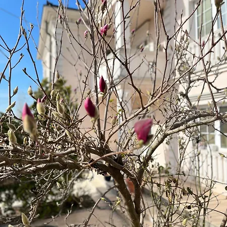 Monika * 贝尔格莱德